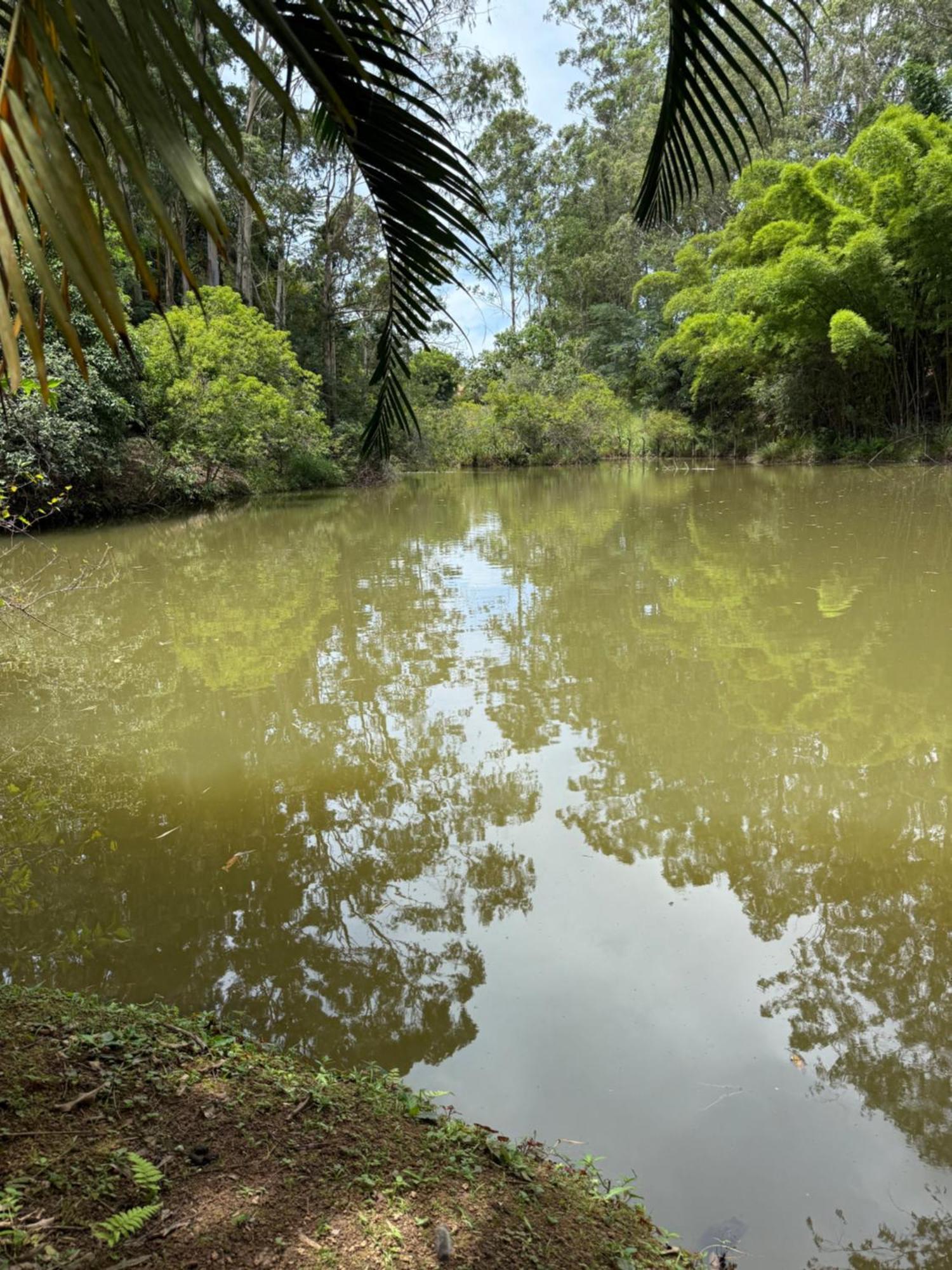Casarao Verde Sao Luiz do Paraitinga Eksteriør bilde
